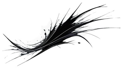 apophysis,black feather,acindar,hydroid,hydroids,black and dandelion,dendritic,sylphs,neuron,dendrite,feather bristle grass,black background,cyanea,illustris,emitter,raven's feather,samuil,particle,black streamers,sylph,Illustration,Paper based,Paper Based 08