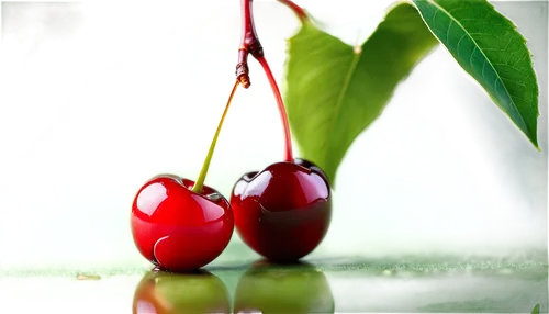 Cherry, red, juicy, ripe, glossy surface, green leaf, stem attached, detailed texture, close-up shot, 1/2 composition, soft natural light, warm color tone, shallow depth of field, still life.,cherries