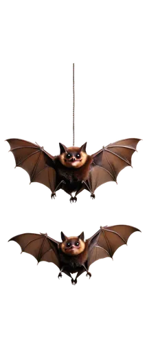 bat smiley,bats,bat,hanging bat,fruit bat,tropical bat,lantern bat,vampire bat,megabat,little red flying fox,big brown bat,pipistrelles,flying fox,common pipistrelle,mouse eared bat,batrachian,pterodactyls,little brown myotis,batman,cynosbatos,Illustration,Japanese style,Japanese Style 05