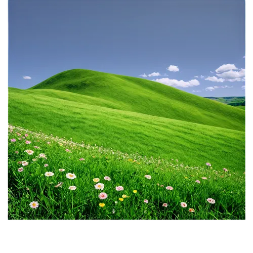 green landscape,landscape background,grassland,meadow landscape,grasslands,aaa,green meadow,green background,green fields,spring background,green grass,rolling hills,salt meadow landscape,background vector,green wallpaper,springtime background,mountain meadow,patrol,alpine meadow,mountain slope,Illustration,Black and White,Black and White 14