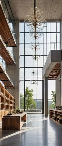 snohetta,gensler,clerestory,bibliotheca,associati,herbarium,library,libraries,reading room,school design,bibliothek,modern office,bookshelves,bookcases,bibliotheque,longaberger,vitra,loft,minotti,celsus library,Illustration,Realistic Fantasy,Realistic Fantasy 14