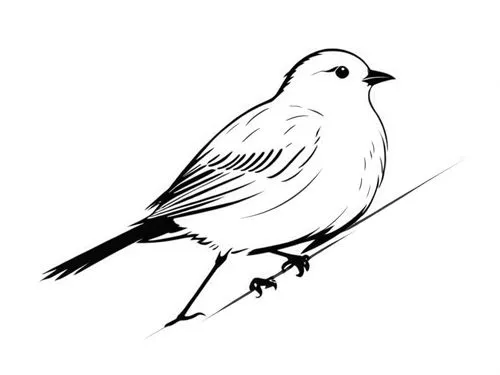 a bird with its  sitting on a nch,line art birds,bird drawing,dove of peace,bird illustration,bird outline,peace dove,Design Sketch,Design Sketch,Rough Outline