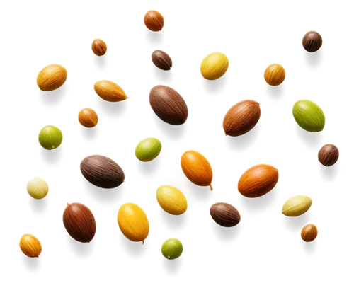 Seeds, various shapes, different species, brown, green, yellow, white, glossy, matte, detailed textures, tiny, macro shot, centered composition, soft natural light, warm color tone.,cocoa beans,coffee