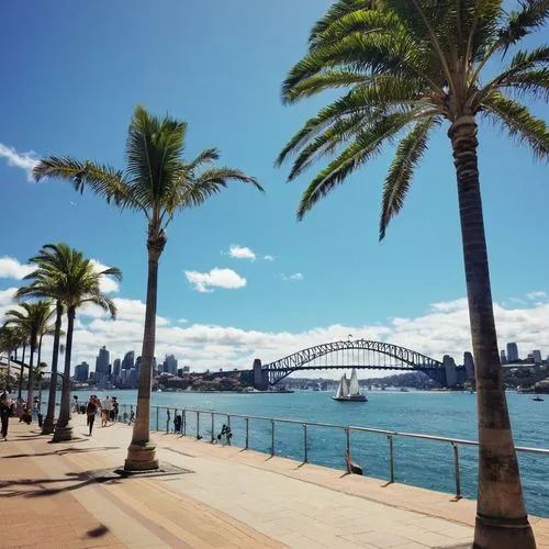 Sydney Australia, modern architecture, Opera House, Harbour Bridge, coastal cityscape, blue sky, sunny day, fluffy white clouds, sailboats on the harbour, seagulls flying overhead, palm trees lining t