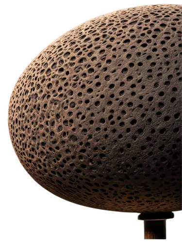 seedpod,texturing,seamless texture,udu,acorn,ostracod,trypophobia,lycoperdon,cheese grater,seed pod,scarnecchia,ovule,mushroom type,spherules,3d model,lotus seed pod,sporangium,coconut shell,odostomia,sackboy,Conceptual Art,Sci-Fi,Sci-Fi 08