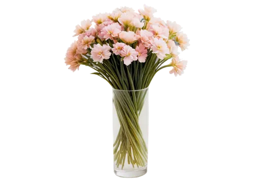 flowers png,artificial flower,flower background,flower vase,artificial flowers,pink carnation,carnation flower,pink carnations,carnations arrangement,glass vase,floristic,flower design,flower wallpaper,flower arrangement lying,pink floral background,flower illustrative,pink lisianthus,paper flower background,flower pink,flower arrangement,Photography,Black and white photography,Black and White Photography 10