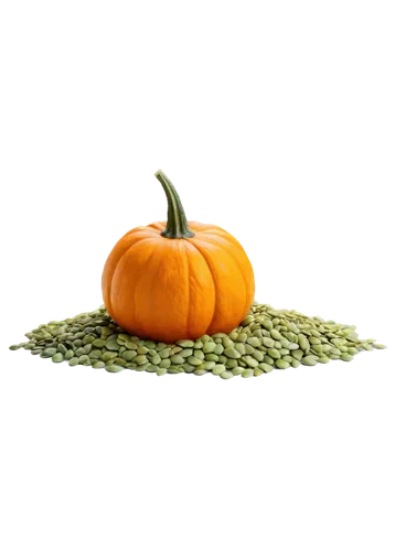 pumpkin seeds,kirdyapkin,decorative pumpkins,halloween background,pumpkin autumn,calabaza,pumpsie,halloween pumpkin,halloween vector character,autumn icon,pumpkin soup,autumn background,pumpkin lantern,pupkin,pumpkins,pumpkin,halloween pumpkin gifts,pumkin,neon pumpkin lantern,halloween border,Illustration,Vector,Vector 03