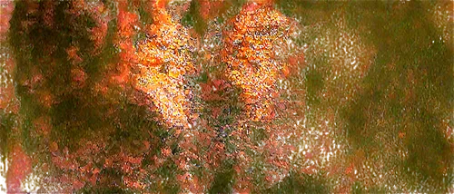 tree texture,burning tree trunk,pine i am looking for a good face,background abstract,tree thoughtless,brown tree,red tree,tree trunk,pine branches,forest tree,gold-pink earthy colors,burning bush,leaves frame,tree bark,degenerative,birch tree,fir-tree branches,burnt tree,color texture,watercolour texture,Art,Artistic Painting,Artistic Painting 23