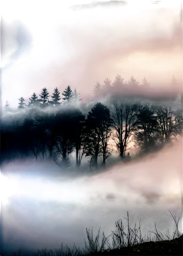 foggy landscape,fog banks,trossachs national park - dunblane,morning mist,mists over prismatic,dense fog,ground fog,landscape background,mist,foggy mountain,veil fog,fog,emission fog,the fog,north american fog,wave of fog,autumn fog,early fog,landscapes,high fog,Illustration,Vector,Vector 12