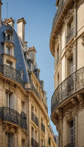 paris balcony,watercolor paris balcony,haussman,french building,immobilier,parisian,paris,french windows,parisiennes,parisii,faubourg,balconies,haussmann,montpellier,martre,monceau,parisien,bordeaux,maisons,frontages,Photography,Fashion Photography,Fashion Photography 16