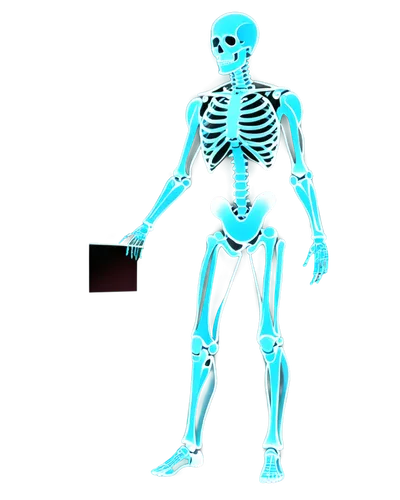 osteoporotic,skeletal,calcium,skeleton,osteoporosis,skelemani,human skeleton,halloween vector character,computer tomography,3d figure,skeleltt,3d model,skelly,xray,calcium pools,spookily,skeletal structure,radiograph,doot,osteopath,Art,Artistic Painting,Artistic Painting 43