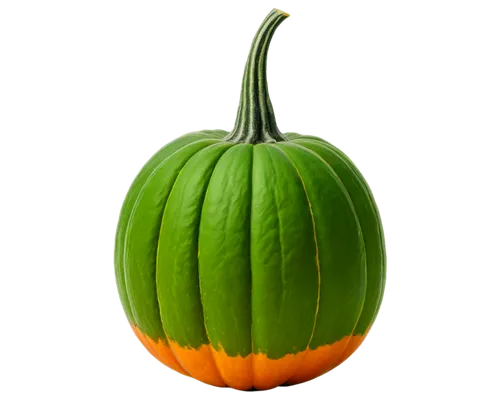 cucuzza squash,cucurbita,calabaza,gem squash,bitter gourd,figleaf gourd,scarlet gourd,muskmelon,patrol,gourd,pointed gourd,cucurbit,melon,winter squash,white pumpkin,pumkin,halloween pumpkin,aaa,cleanup,squash,Illustration,Vector,Vector 08