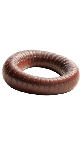 Earthworm, brown body, segmented, moist skin, tiny eyes, mouth with setae, curled up posture, lying on soil, soft focus, shallow depth of field, warm lighting, 3/4 composition, realistic texture, deta