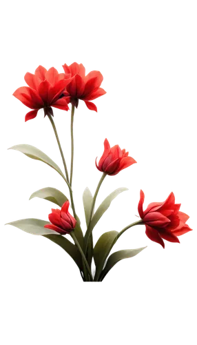 flowers png,red flowers,red flower,red chrysanthemum,red carnation,red petals,red carnations,flower background,red gerbera,red tulips,flower wallpaper,red anemones,chrysanthemum background,red ranunculus,tulip background,flower illustrative,dianthus,red gift,red blooms,red orange flowers,Illustration,Black and White,Black and White 02