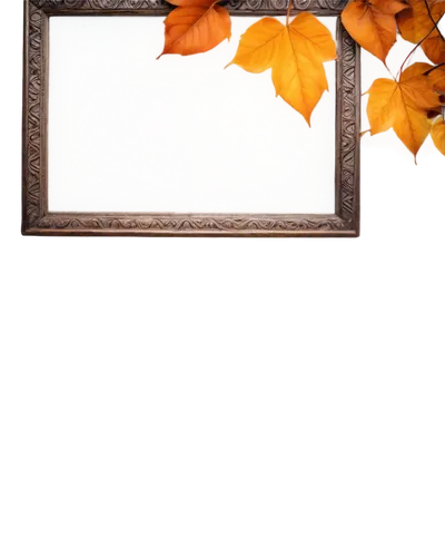 round autumn frame,fall picture frame,autumn frame,halloween frame,photo frame,leaves frame,glitter fall frame,autumn background,decorative frame,floral silhouette frame,mirror frame,copper frame,blank photo frames,white frame,picture frame,thanksgiving background,antique background,wood mirror,christmas frame,flower frame,Illustration,Retro,Retro 04