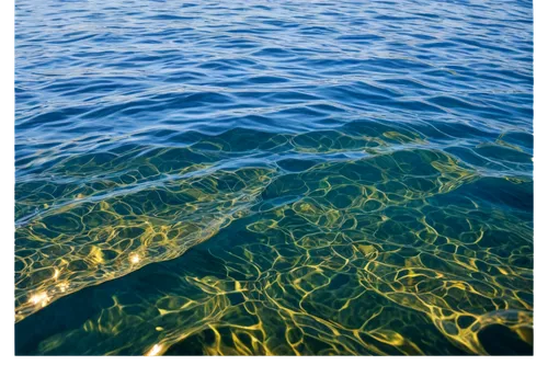 Transparent background, crystal clear water, sparkling ripples, sunlight reflection, gentle waves, realistic texture, shallow depth of field, natural lighting, warm color tone, panoramic view.,water s