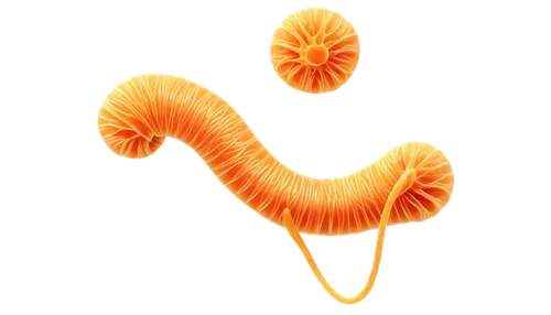 paraventricular,flagella,ercp,orang,nephron,ureter,aortas,aorta,spirochetes,garrisoned,pancreas,spirochete,pylori,glomerulosclerosis,spermatozoa,lipoprotein,intussusception,carotenoid,duodenum,appendix,Photography,Documentary Photography,Documentary Photography 30