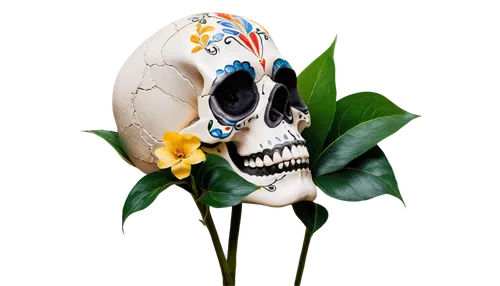 floral skull,calavera,boho skull,day of the dead frame,flowers png,day of the dead skeleton,scull,la calavera catrina,calaveras,day of the dead,calaverita sugar,la catrina,sugar skull,memento mori,dia de los muertos,skull sculpture,skull mask,skull allover,skull with crown,el dia de los muertos,Photography,Black and white photography,Black and White Photography 04