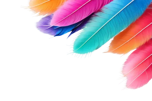 color feathers,parrot feathers,feathers,feather headdress,feather,peacock feathers,feather jewelry,rainbow pencil background,feather pen,chicken feather,pigeon feather,beak feathers,peacock feather,bird feather,colorful birds,hawk feather,feather boa,feathers bird,white feather,watercolor tassels,Illustration,American Style,American Style 12