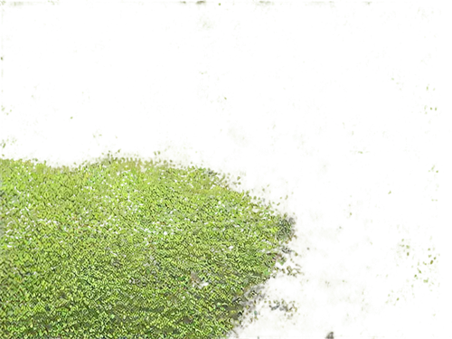 azolla,moss landscape,block of grass,grassy,grass,gras,seamless texture,duckweed,tree moss,moss,grassman,forest moss,green wallpaper,zoysia,sporophyte,poa,grass golf ball,panorama from the top of grass,grass roof,golf course grass,Illustration,Japanese style,Japanese Style 14