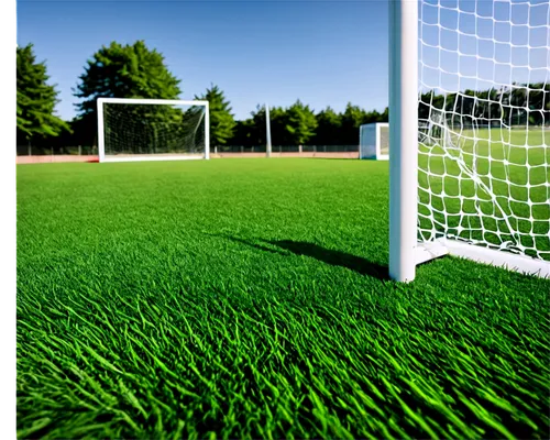 artificial turf,artificial grass,quail grass,soccer field,football pitch,soccer-specific stadium,wheat germ grass,grass blades,athletic field,halm of grass,turf roof,sports equipment,block of grass,grass,turf,score a goal,soccer,grass grasses,football equipment,lawn,Conceptual Art,Sci-Fi,Sci-Fi 08