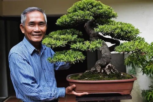 Mr Mas Kamalludin (above) says his six bonsai, displayed outside his Yishun flat, are great conversation starters with neighbours, flyer distributors and door-to-door salespeople. His collection inclu