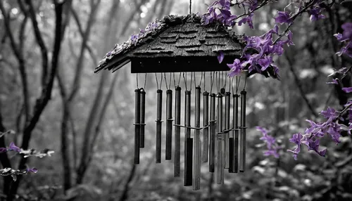 hanging lantern,wisteria shelf,illuminated lantern,vintage lantern,japanese lantern,birdhouse,fairy lanterns,bird house,wooden birdhouse,wisteria,fairy house,lantern,wind chimes,lilac arbor,fairy door,wishing well,birdhouses,lanterns,bird cage,bird home,Photography,Black and white photography,Black and White Photography 02