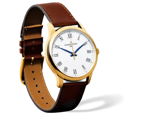 gold watch,bidermann,wristwatch,men's watch,meistersinger,watchband,male watch,tavannes,open-face watch,movado,analog watch,wrist watch,golfwatch,corporatewatch,wristwatches,shinola,kienzle,chronometer,tourneau,reloj,Conceptual Art,Sci-Fi,Sci-Fi 19