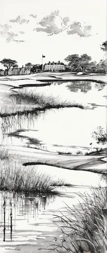 salt marsh,tidal marsh,freshwater marsh,wetland,wetlands,bayou la batre,estuary,marsh,salt pan,lalu wetland,swampy landscape,river landscape,doñana national park,sandpiper bay,bodie island,floodplain,alligator alley,yamada's rice fields,coastal landscape,mobile bay,Illustration,Black and White,Black and White 34