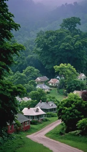 kawachi town,the chubu sangaku national park,shimane peninsula,shirakawa-go,korean folk village,japan landscape,bukhansan,sujeonggwa,kinkakuji,park akanda,yakushima,kumano kodo,koyasan,japan garden,green landscape,wolchulsan,haejangguk,rural area,japanese mountains,ishigaki,Photography,Documentary Photography,Documentary Photography 12