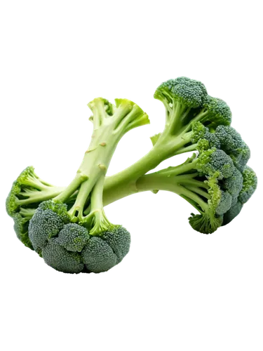 Broccoli, green florets, thick stem, detailed texture, vibrant green color, soft natural light, 3/4 composition, shallow depth of field, cinematic lighting, close-up shot, isolated on transparent back