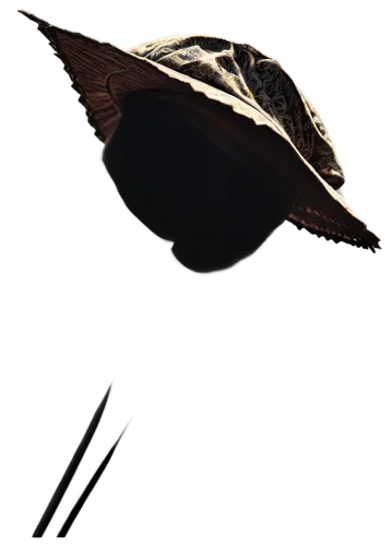 witch's hat icon,bird png,the hat-female,black feather,png transparent,seed-head,beak feathers,black-headed munia,kokoshnik,brown hat,bird wing,brown cap,witch hat,hawk feather,cosmetic brush,hat,witch broom,munia,white-headed munia,treehopper,Illustration,Retro,Retro 14