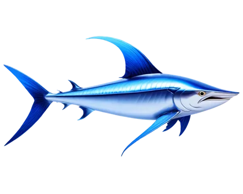 sailfish,blue stripe fish,billfish,blue fish,bluefin,fish tern,rooster fish,mackerels,sportfish,dolphin fish,marlin,thunnus,mackerel,bluefish,swordfish,kingfish,dolphin background,tarpon,pelagic,needlefish,Art,Artistic Painting,Artistic Painting 06