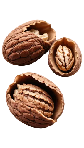 Walnut kernel, cracked open shell, smooth brown surface, creamy white interior, detailed texture, close-up shot, shallow depth of field, warm lighting, realistic rendering, high contrast.,cocoa beans,