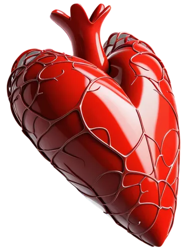 heart clipart,coronary vascular,coronary artery,heart care,circulatory system,cardiology,heart icon,human heart,heart health,cardiac,circulatory,core web vitals,the heart of,cardiac massage,medical illustration,aorta,heart design,heart-shaped,blood circulation,cardiopulmonary resuscitation,Illustration,Realistic Fantasy,Realistic Fantasy 42