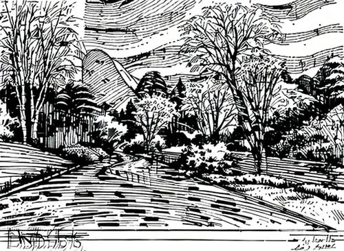 landscape plan,brook landscape,terraces,karst landscape,cool woodblock images,mono-line line art,woodcut,terraced,gardens,farm landscape,mountain scene,terrain,landscape digital paper,hand-drawn illus