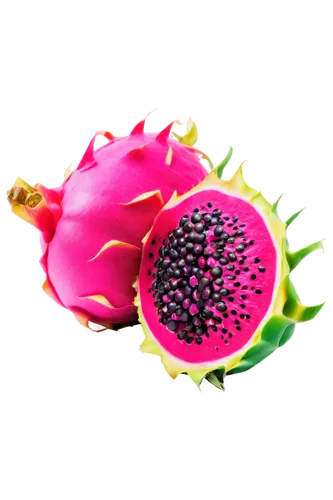 pitahaya,pitaya,dragon fruit,pitahaja,flowers png,bombacaceae,flower background,flower ball,flower wallpaper,flower of passion fruit,pink flower,syzygium,malvaceae,juglandaceae,exotic flower,passion fruit flower,guava,pomegranate,pink floral background,magenta,Illustration,Retro,Retro 20