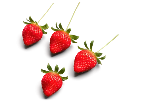 strawberries,strawbs,strawberry,berries,strawberry tree,strawberry plant,red strawberry,strawberry ripe,wolfberries,fragaria,berry fruit,many berries,mollberry,red berries,fresh berries,berries fruit,lingonberries,saulsberry,brimelow,strawberry flower,Conceptual Art,Daily,Daily 30