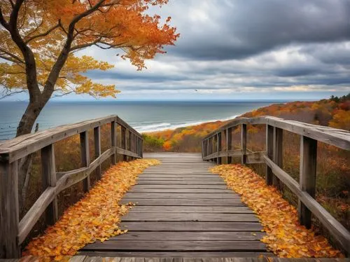 fall landscape,wooden bridge,autumn background,indiana dunes state park,autumn landscape,autumn scenery,lake superior,wooden pier,colors of autumn,autumn frame,upper michigan,leelanau,fall foliage,wooden path,boardwalks,wooden bench,autumn idyll,cape cod,saugatuck,nature wallpaper,Illustration,Paper based,Paper Based 04