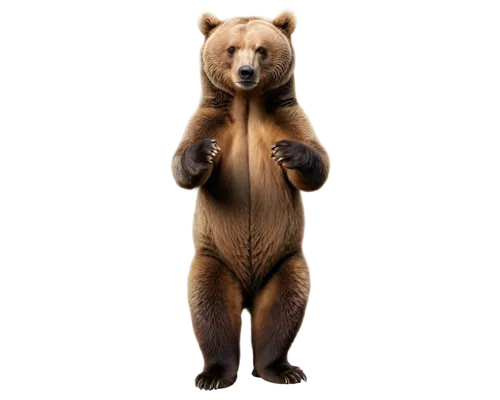 bear,cute bear,scandia bear,bear market,nordic bear,bear teddy,left hand bear,great bear,brown bear,kodiak bear,bear kamchatka,bears,bear bow,cub,teddy-bear,little bear,3d teddy,bear guardian,bear cub,big bear,Illustration,Realistic Fantasy,Realistic Fantasy 26