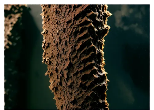 tree bark,tree texture,mandelbulb,ants climbing a tree,tree trunk,titan arum,wood texture,anthill,trumpet lichen,tree slice,spines,dry branch,stalagmite,sackcloth textured,trees with stitching,birch trunk,brown tree,phragmite,auricularia,carob tree,Art,Classical Oil Painting,Classical Oil Painting 42