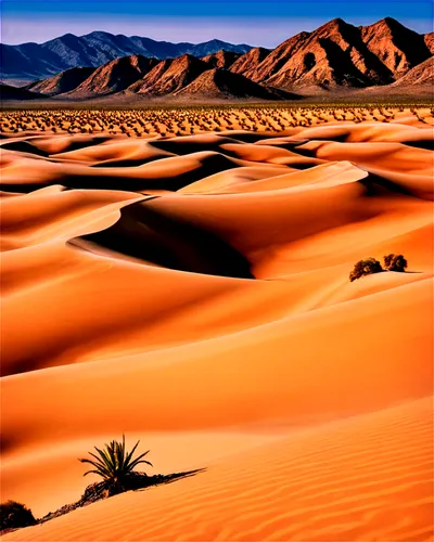 libyan desert,desert desert landscape,desert landscape,capture desert,sahara,namib desert,deserto,semidesert,desert background,sahara desert,desert,namib,gobi desert,tamanrasset,argentina desert,the desert,benmerzouga,merzouga,arid landscape,deserticola,Photography,Artistic Photography,Artistic Photography 14