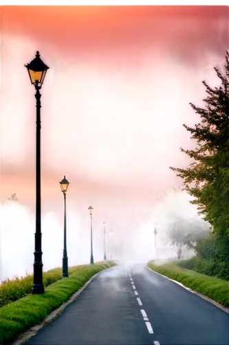 lamp post,street lamps,street lamp,streetlamps,streetlamp,lamppost,coastal road,lampposts,the road to the sea,empty road,iron street lamp,street light,road,foggy landscape,streetlight,street lights,streetlights,the road,morning mist,evening atmosphere,Photography,Black and white photography,Black and White Photography 15