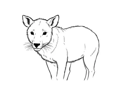 an animal that is black and white on a white background,dog line art,line art animal,graywolf,canid,canidae,dhole,Design Sketch,Design Sketch,Rough Outline