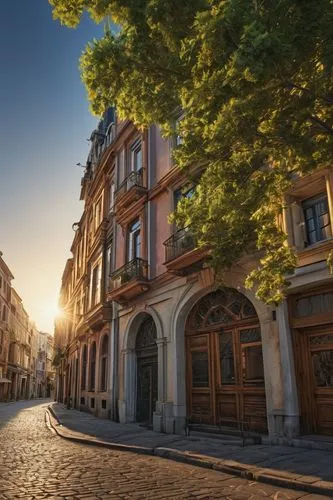 a
,a tree on a cobblestone street in old - fashioned european europe,lviv,krakow,chernivtsi,krakau,timisoara,gdansk,Photography,General,Realistic