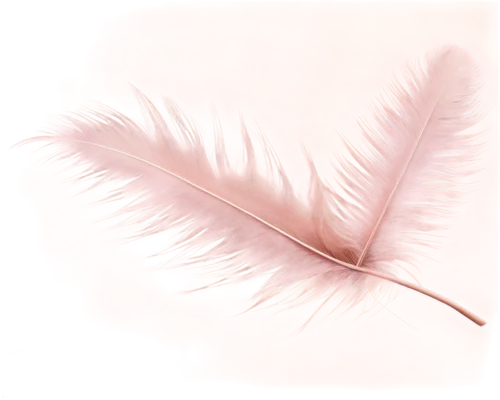 swan feather,feather,bird feather,ostrich feather,chicken feather,white feather,wing,feather bristle grass,hindwing,pigeon feather,feathers,feather on water,bird wing,angel wing,hawk feather,eyelash,peacock feather,pink grass,featherlike,angel wings,Art,Artistic Painting,Artistic Painting 02