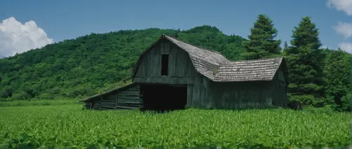 You approach an old barn in the middle of nowhere. A weathered private property sign warns you to stay away. What could be lurking inside?,grass roof,field barn,gable field,old barn,farm hut,log home,