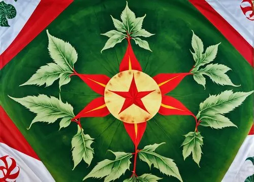 christmas snowflake banner,kyrgyzstan som,kyrgyzstan,khokhloma painting,christmas banner,fallen heroes of north macedonia,kyrgyz,bulgaria flag,azerbaijan azn,red green,moravian star,novruz,red and green,flower banners,tatar,hulunbuir,red banner,bulgarian,motifs of blue stars,ussr