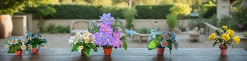 five plants with plastic vases, each holding colorful flowers,elementals,blurriness,scandia gnomes,blurred background,garden statues,bokeh effect,Small Objects,Outdoor,Garden