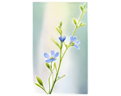 Linseed plant, green stem, delicate branches, tiny blue flowers, yellow centers, soft petals, oval-shaped leaves, serrated edges, gentle curves, morning dew, soft sunlight, shallow depth of field, war